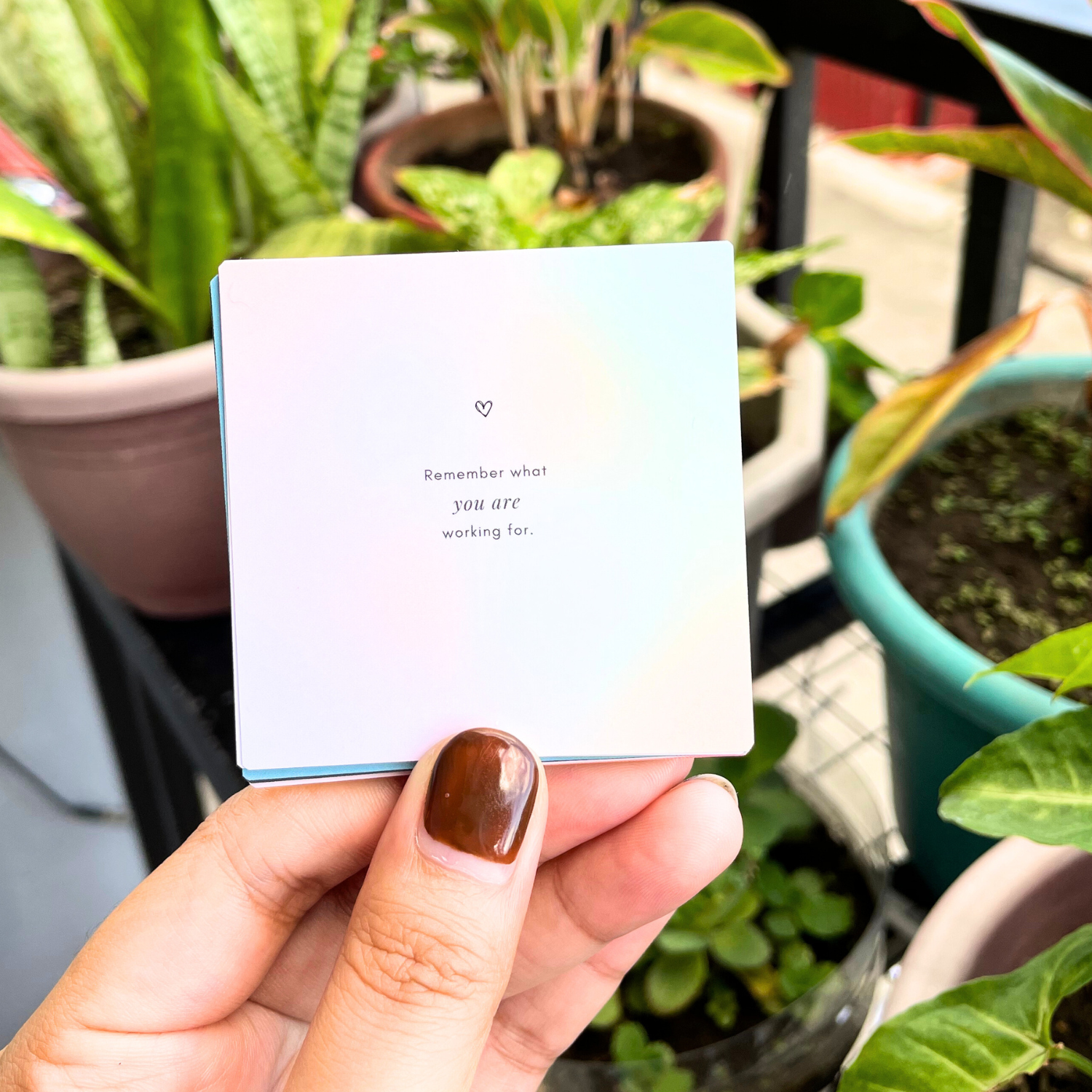 Manifest Your Vision Bundle