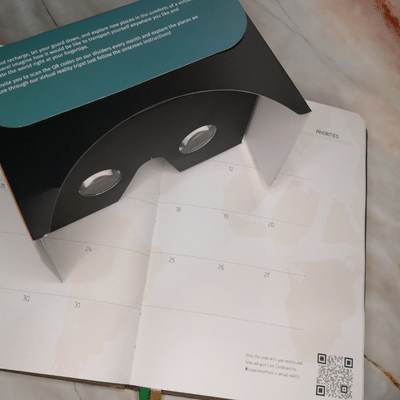 Virtual Reality Googles