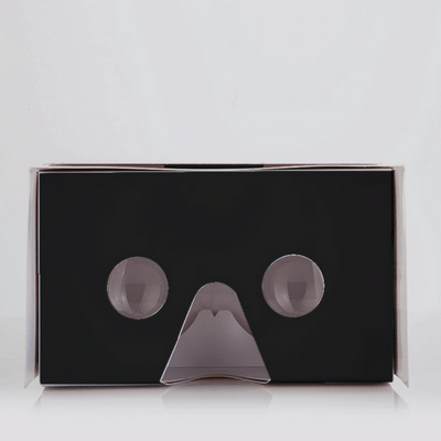 Virtual Reality Googles