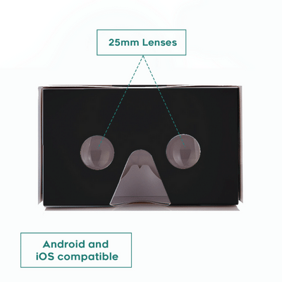 Virtual Reality Googles